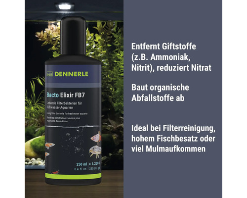Dennerle Bacto Elixir FB7 bactéries de filtration vivantes pour le traitement de l'eau en aquarium d'eau douce, flacon de 250 millilitres.