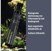 Dennerle Bacto Elixir Bio activateur bactérien pour aquarium pour l'activation biologique du matériau filtrant et du sol dans un flacon.
