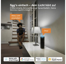 Un homme assis dans un escalier contrôle l'éclairage du salon par commande vocale via une enceinte intelligente.