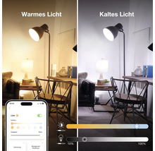 Comparaison entre une lumière chaude et froide d'un lampadaire contrôlable via une application smartphone pour la température et la luminosité.