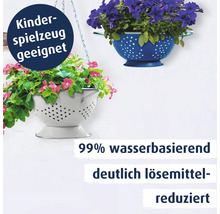 Zwei als Pflanzgefäße umfunktionierte Küchensiebe mit Blumen bepflanzt, mit Hinweisen zur Eignung für Kinderspielzeug und Wasserbasis des Lacks.