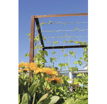 Trellis en métal avec aspect rouille et fils horizontaux, recouvert de plantes de haricots verts, fleurs jaunes au premier plan.