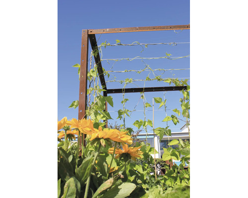 Trellis en métal avec aspect rouille et fils horizontaux, recouvert de plantes de haricots verts, fleurs jaunes au premier plan.