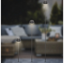Trois lampes solaires LED de hauteurs différentes avec abat-jour nervuré pour un éclairage extérieur décoratif dans le jardin.