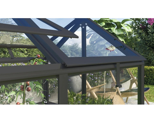 Vue détaillée d'une serre avec lucarne et vitres transparentes dans un jardin.