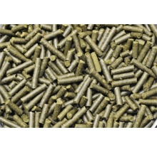 Eine Nahaufnahme von komprimierten Grasfutterpellets für Tiere.