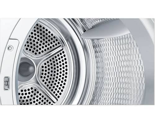 Vue intérieure du tambour en acier inoxydable d'un sèche-linge avec paroi arrière perforée et aube de brassage.