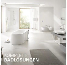 Salle de bains lumineuse et spacieuse avec baignoire îlot, lavabo, toilettes suspendues, bidet et douche, au design moderne.