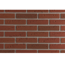 Mur en briques texturé avec une surface rugueuse aspect brique