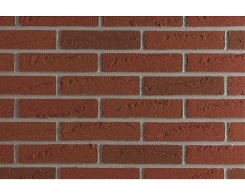 Mur en briques texturé avec une surface rugueuse aspect brique