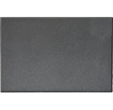 Dalle de pavage rectangulaire en béton pour aménagement de jardin.