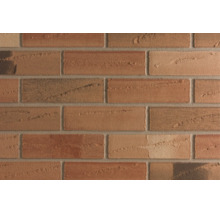 Façade en briques de parement texturées avec joints apparents pour usage extérieur