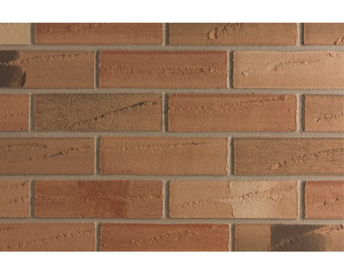 Façade en briques de parement texturées avec joints apparents pour usage extérieur