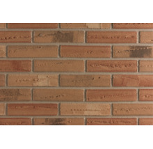 Mur en briques texturé avec surface irrégulière pour façades et maçonnerie