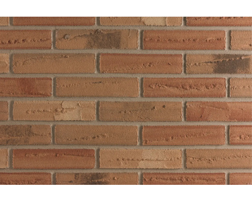 Mur en briques texturé avec surface irrégulière pour façades et maçonnerie