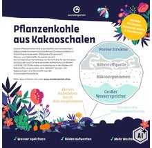 Infographie sur le biochar Wundergarten à base de cosses de cacao avec des explications sur l'amélioration du sol et les micro-organismes. (Image AI modified or generated)