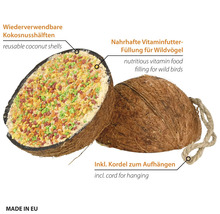 Demi-noix de coco réutilisable remplie de nourriture vitaminée nutritive pour oiseaux sauvages, avec cordelette pour la suspension.