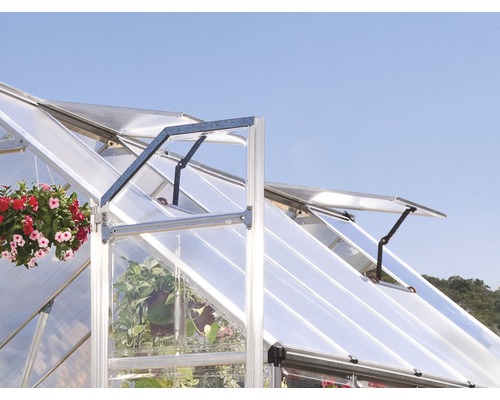 Detailansicht eines Gewächshauses mit geöffneten Fenstern und Pflanzen