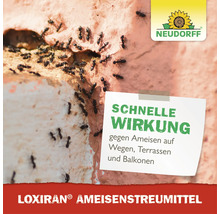 Neudorff Loxiran Ameisenstreumittel gegen Ameisen auf Wegen, Terrassen und Balkonen für schnelle Wirkung.