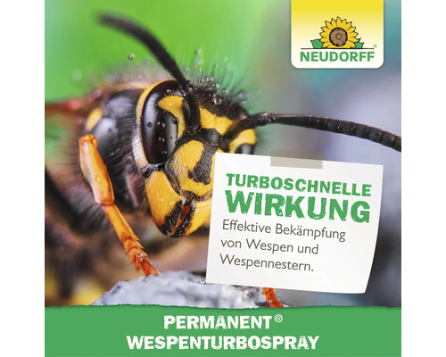 Neudorff Permanent Wespenturbospray zur effektiven Bekämpfung von Wespen und Wespennestern mit turboschneller Wirkung.