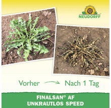 Neudorff Logo und Wirkungsvergleich von Finalsant AF Unkrautlos Speed vor und einen Tag nach der Anwendung an einer Unkrautpflanze.