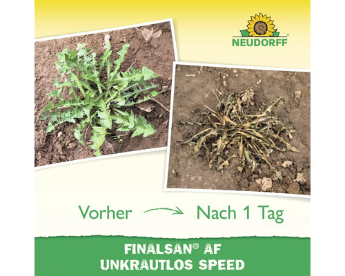 Neudorff Logo und Wirkungsvergleich von Finalsant AF Unkrautlos Speed vor und einen Tag nach der Anwendung an einer Unkrautpflanze.