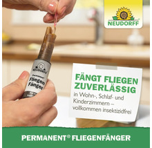 Neudorff Permanent Fliegenfänger zum insektizidfreien Fangen von Fliegen in Wohn- Schlaf- und Kinderzimmern.