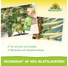 Neudorff Neudosan AF Neu Blattlausfrei Pflanzenschutzmittel zur Anwendung an Tomaten und gegen Sitkafichtenläuse in einer Sprühflasche.