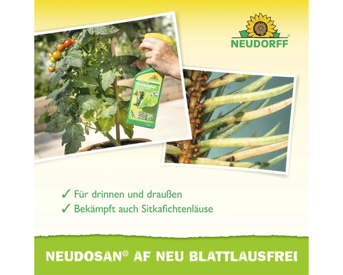 Neudorff Neudosan AF Neu Blattlausfrei Pflanzenschutzmittel zur Anwendung an Tomaten und gegen Sitkafichtenläuse in einer Sprühflasche.