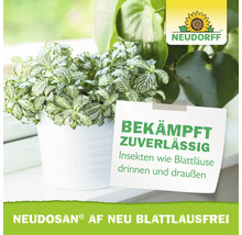 Neudorff Logo und Werbehinweis für Neudosan AF Neu Blattlausfrei zur Bekämpfung von Insekten wie Blattläusen an Zimmerpflanzen.