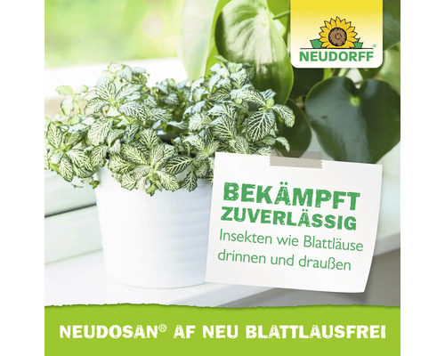 Neudorff Logo und Werbehinweis für Neudosan AF Neu Blattlausfrei zur Bekämpfung von Insekten wie Blattläusen an Zimmerpflanzen.