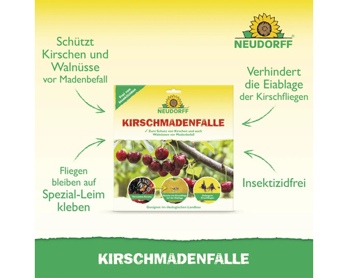 Neudorff Kirschmadenfalle zum Schutz von Kirschen und Walnüssen vor Madenbefall durch insektizidfreie Spezialleimfalle.