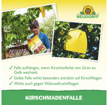 Neudorff Kirschmadenfalle zur Bekämpfung von Kirschfruchtfliegen und Walnussfruchtfliegen, inklusiv Anwendungshinweisen und Neudorff Logo.