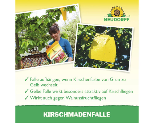 Neudorff Kirschmadenfalle zur Bekämpfung von Kirschfruchtfliegen und Walnussfruchtfliegen, inklusiv Anwendungshinweisen und Neudorff Logo.