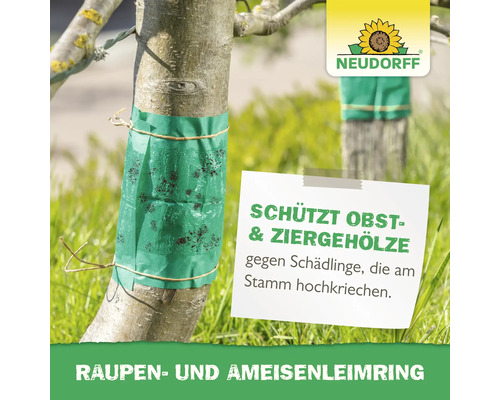 Neudorff Raupen und Ameisenleimring um einen Baumstamm zum Schutz vor kriechenden Schädlingen an Obst und Ziergehölzen.