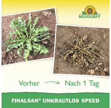 Neudorff Finalsan Unkrautlos Speed Vergleichsbild von Unkraut vor und einen Tag nach der Anwendung mit Neudorff Logo.