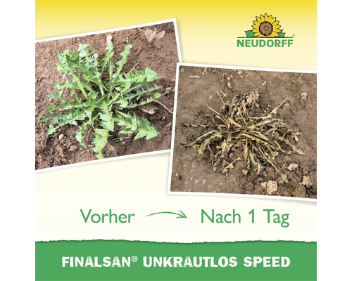 Neudorff Finalsan Unkrautlos Speed Vergleichsbild von Unkraut vor und einen Tag nach der Anwendung mit Neudorff Logo.