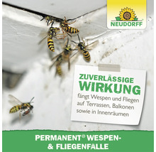 Neudorff Permanent Wespen und Fliegenfalle mit Wespen an einer Wand, dient der Insektenbekämpfung auf Terrassen und in Innenräumen.