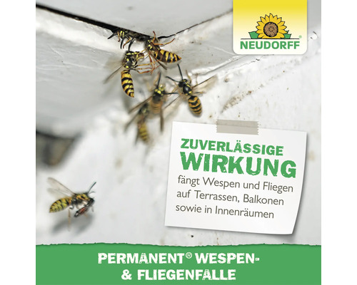Neudorff Permanent Wespen und Fliegenfalle mit Wespen an einer Wand, dient der Insektenbekämpfung auf Terrassen und in Innenräumen.