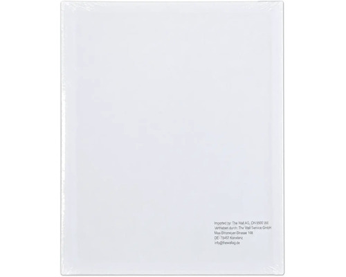 Emballage de produit avec les informations de l'importateur The Wall Service GmbH au dos.