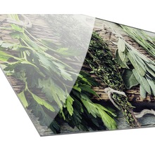 Herbes aromatiques sur planche en bois en tant que décoration murale