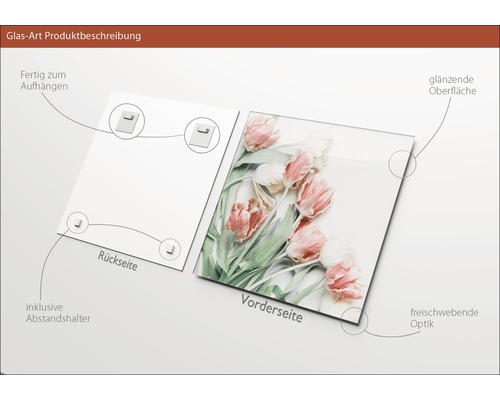 Glasbild mit Tulpenmotiv, inklusive Wandhalterung und Abstandshalter