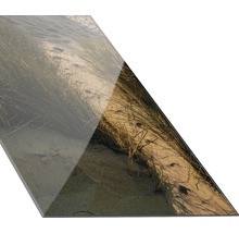 Glasbild Weg zum Strand II 30x80 cm