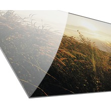Nahaufnahme einer Acrylglasplatte mit Landschaftsmotiv