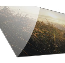Acrylglasbild mit Landschaftsmotiv