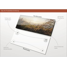 Glasbild Produktbeschreibung mit Vorderseite, glänzender Oberfläche, Rückseite, Abstandshalter und Aufhängevorrichtung