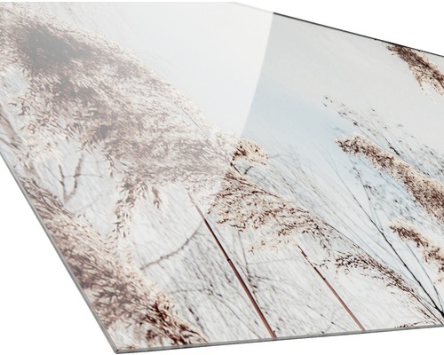 Acrylglasbild mit Schilf Motiv