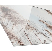 Gros plan d''une plaque en verre acrylique avec des herbes