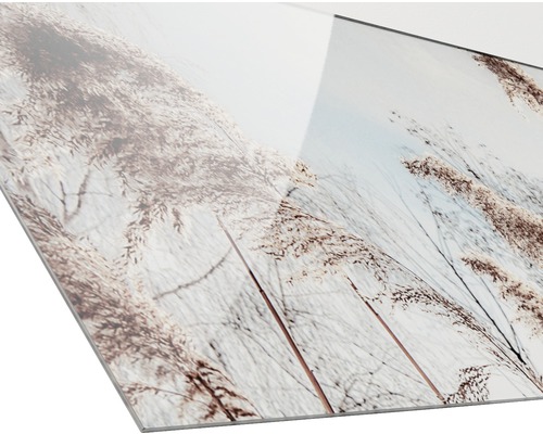 Nahaufnahme einer Acrylglasplatte mit Gräsern