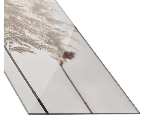 Dekorative Glasplatte mit Schilfgras-Motiv